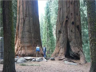 small_040521 caPICT4767.webp